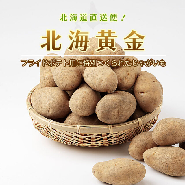北海黄金