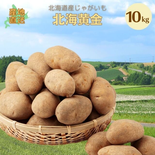 北海黄金