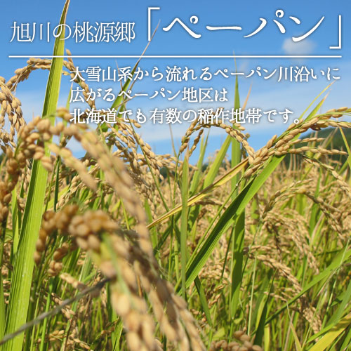 ゆめぴりか 5kg 10kg お米 通販 お取り寄せ ギフト 北海道 2025年度産 新米