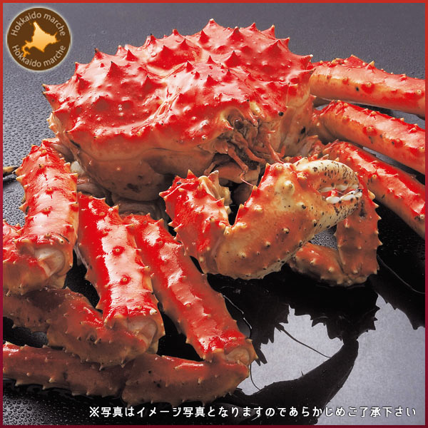 特大 タラバガニ姿 蟹 カニ かに タラバガニ通販 ギフト 大きい