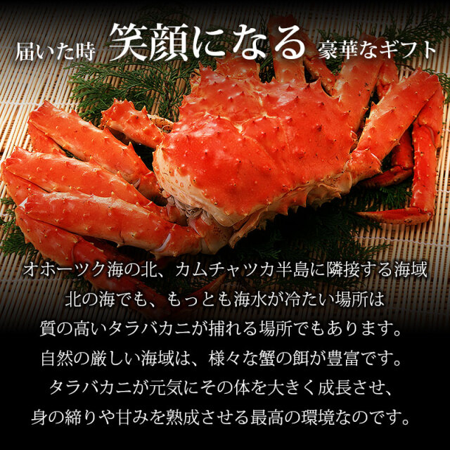 本タラバガニ姿