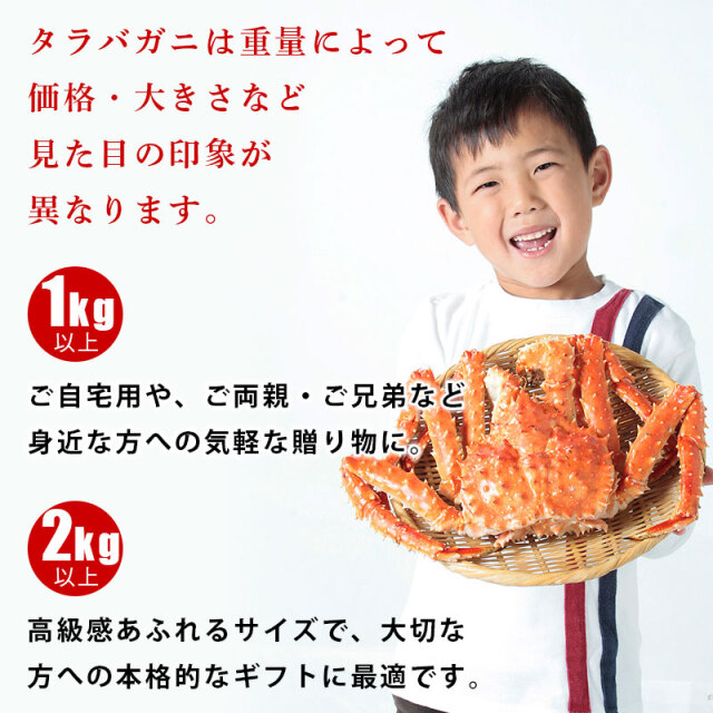 本タラバガニ姿