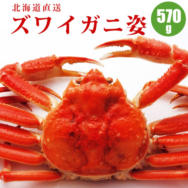 ズワイガニ姿 570g