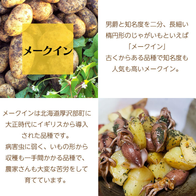メークイン じゃがいも ギフト