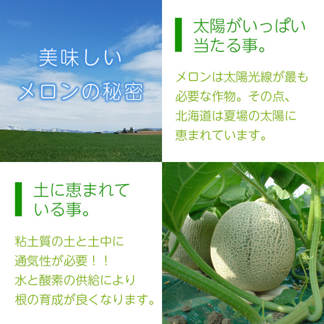 メロン情報
