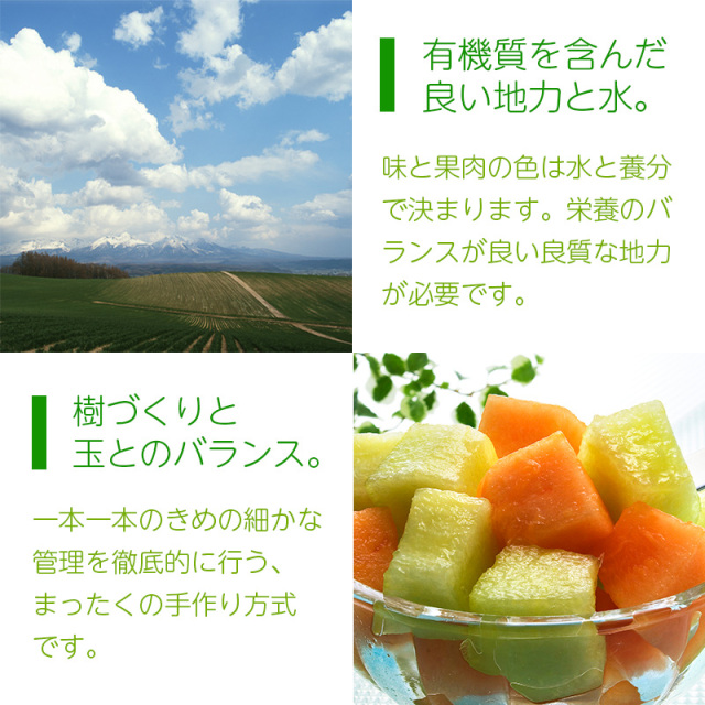 メロン情報
