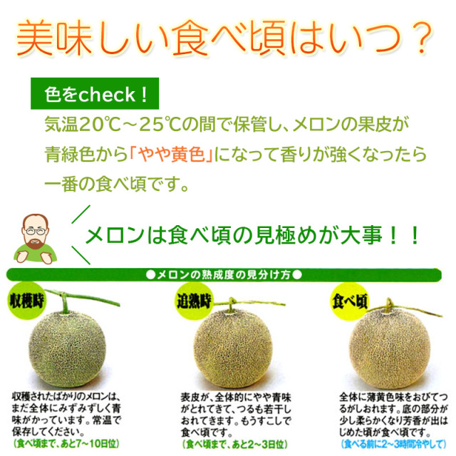 メロン情報