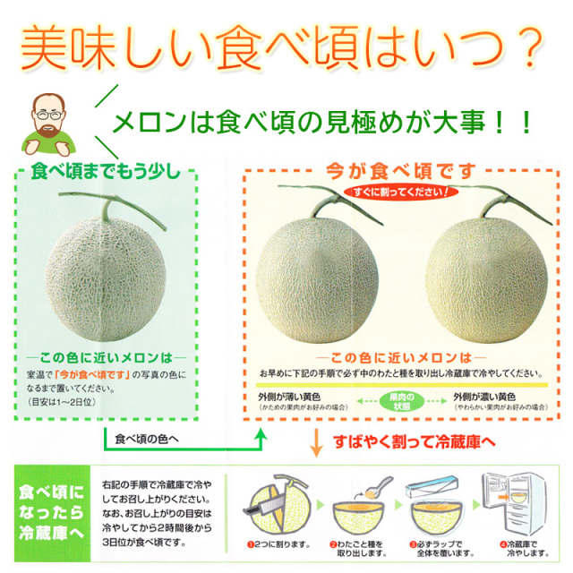 メロン情報（夕張メロン）