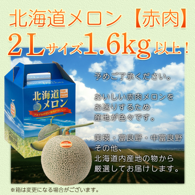 北海道メロン 1.6kg (2Lサイズ) 1玉/2玉/3玉/4玉/5玉 赤肉メロン
