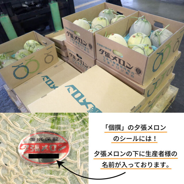 訳あり 夕張メロン 箱売り8kg