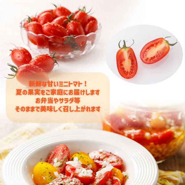 ミニトマト
