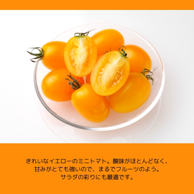 イエローアイコ