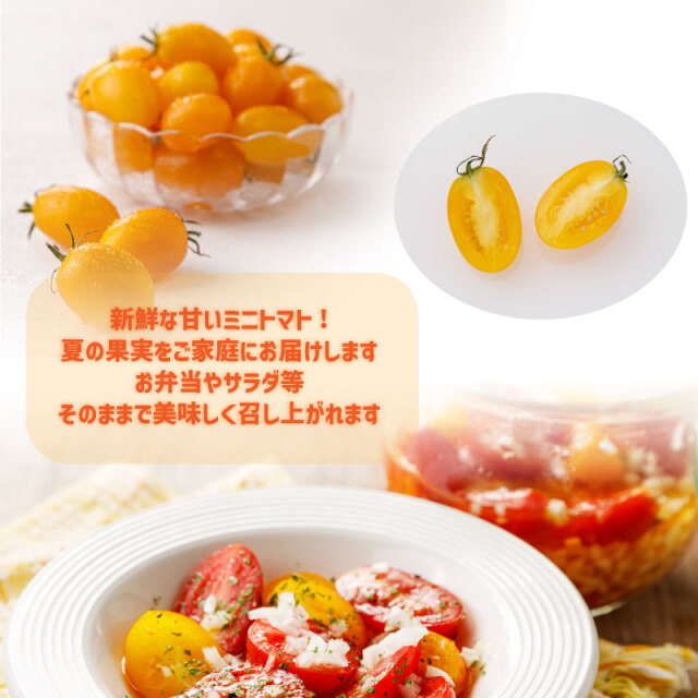 ミニトマト