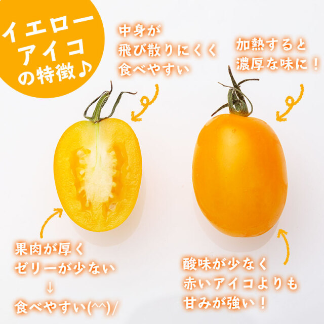 アイコ黄色6キロ ミニトマト イエローアイコ｜種（タネ）,球根,苗,資材