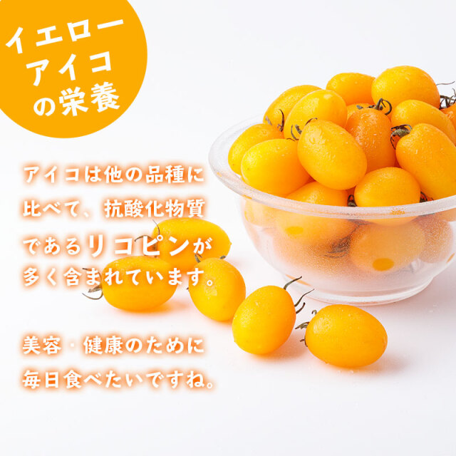北海道産ミニトマト「イエローアイコ」
