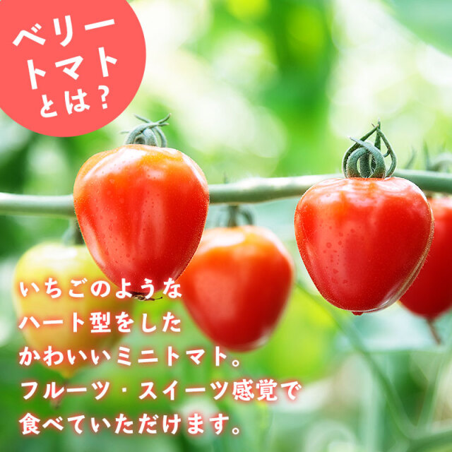 ベリートマト
