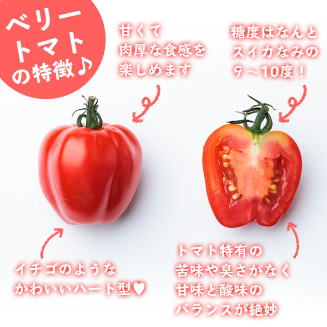 ベリートマト