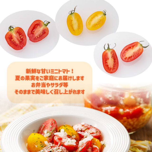 ミニトマト