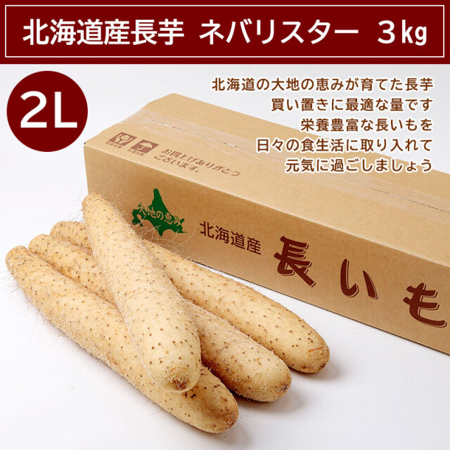 北海道十勝産　【新鮮長芋15kg】 190208_star5.jpg