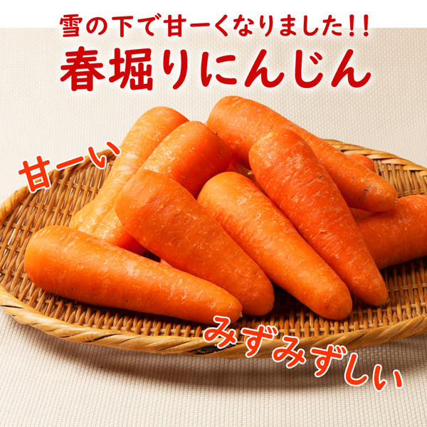 春堀りにんじん