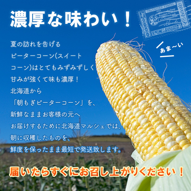 ピーターコーン