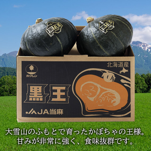 黒王かぼちゃ