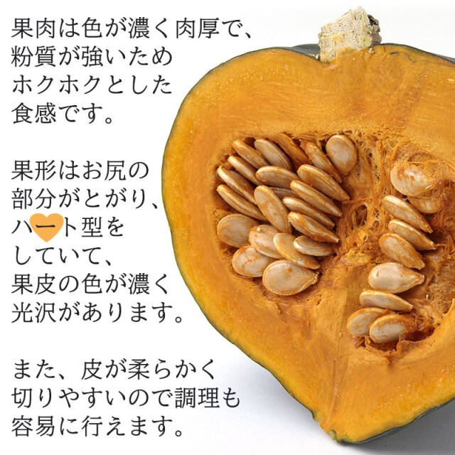 黒王かぼちゃ