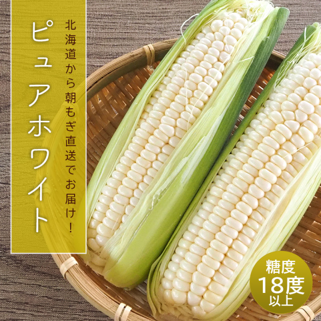 朝もぎ白いとうもろこし「ピュアホワイト」