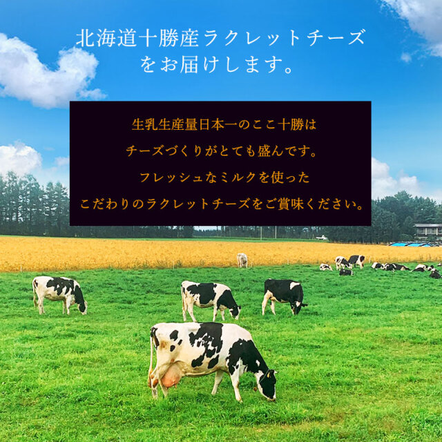 ラクレットチーズ共通