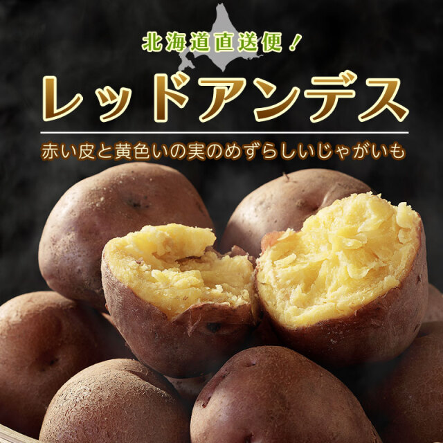 レッドアンデス