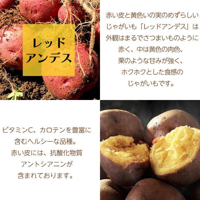 レッドアンデス説明01