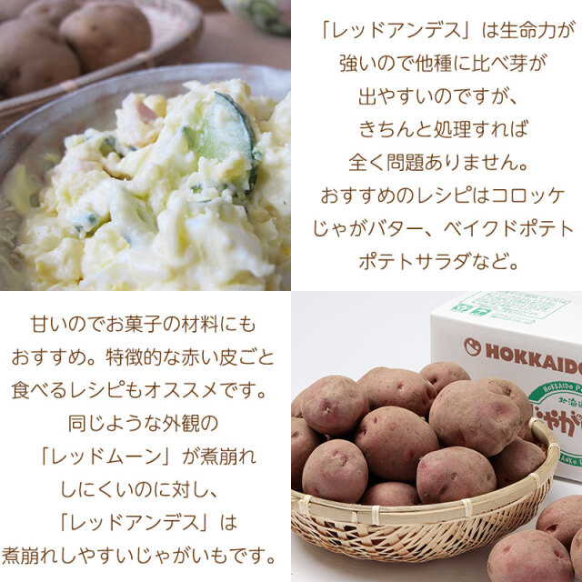 レッドアンデス説明02