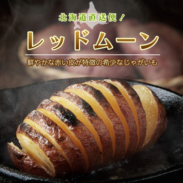 レッドムーン じゃがいも ギフト