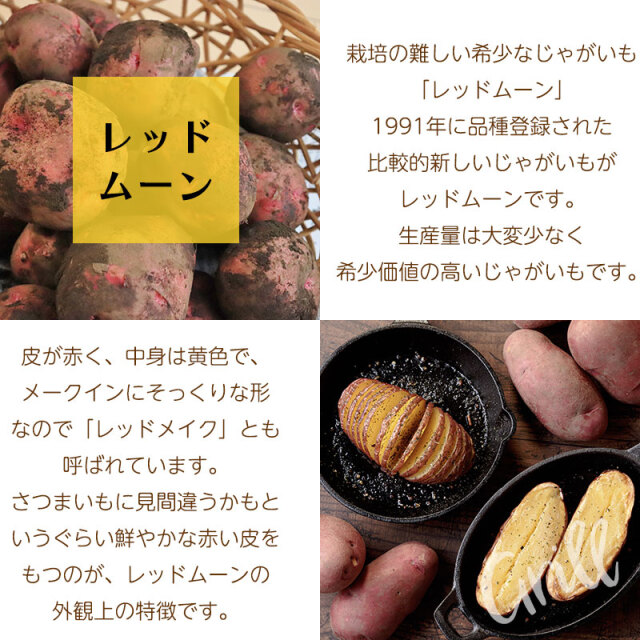 レッドムーン説明01