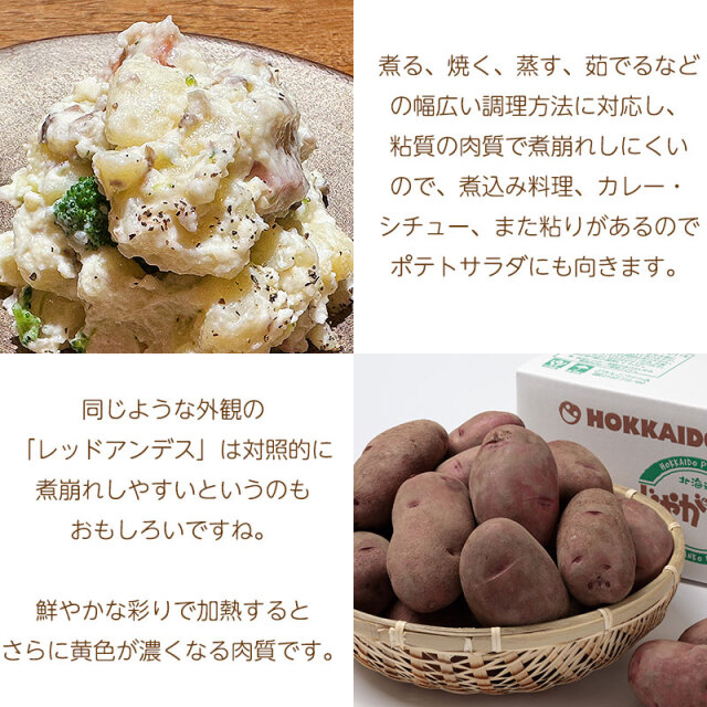 じゃがいも・たまねぎのじゃが玉セットD（レッドムーン 5kg 玉ねぎ4kg）