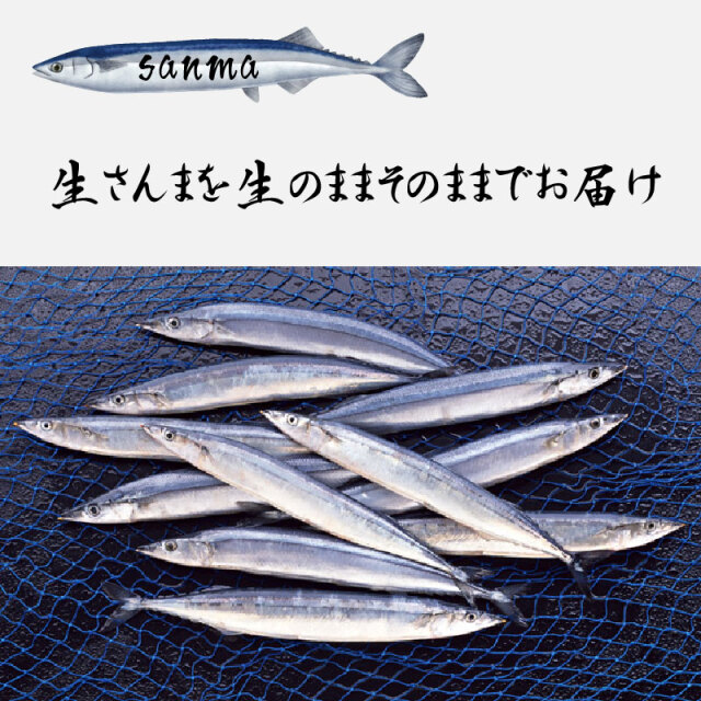 さんま