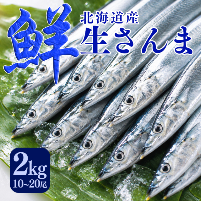 【予約】生さんま10尾〜20尾 約2kg 道東のサンマ 北海道産 秋刀魚 10月上旬より予約順発送予定
