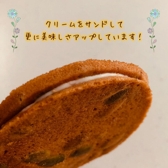 北海道スイーツ かぼちゃクッキー「ひまわりの詩」 12枚入 通販
