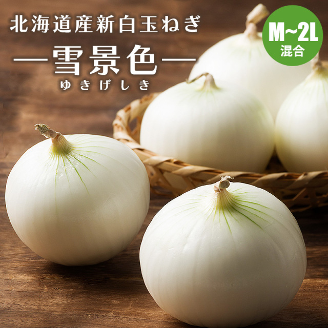 新白たまねぎ