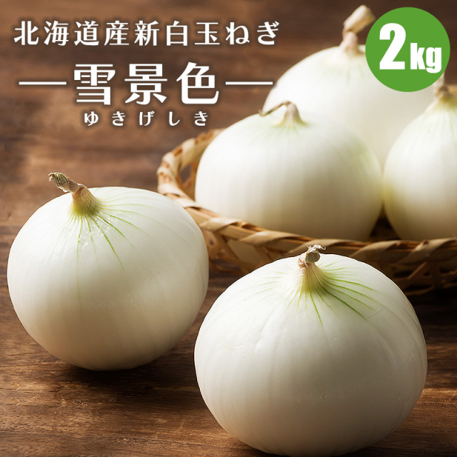 新白たまねぎ2kg