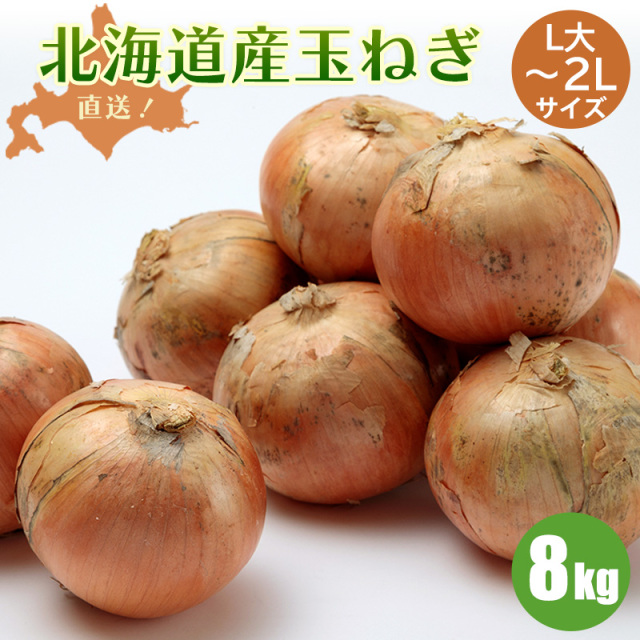 ニンニク村長 北海道産 玉ねぎ 100kg 北海道 玉ねぎ 4kg 8kg L大〜2Lサイズ