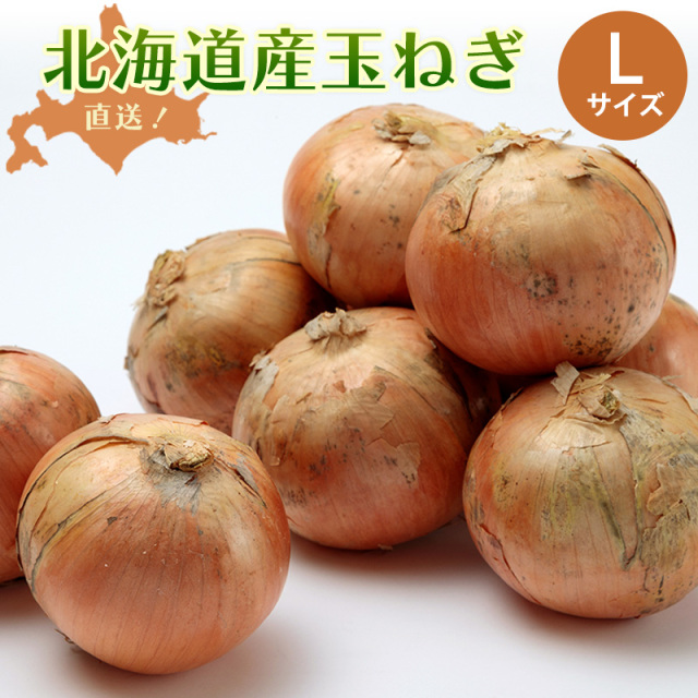 たまねぎ/北海道産たまねぎ