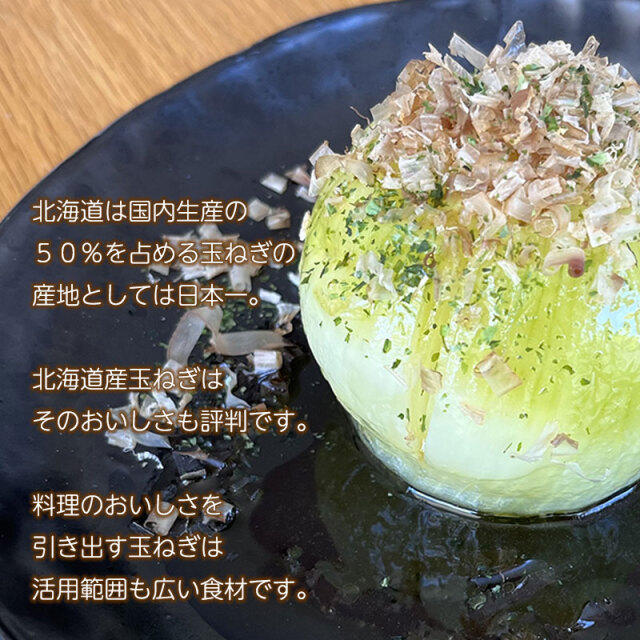 ☆wywrwt☆ 　北海道産 玉ねぎ 40kg 北海道 玉ねぎ 4kg 8kgLサイズ