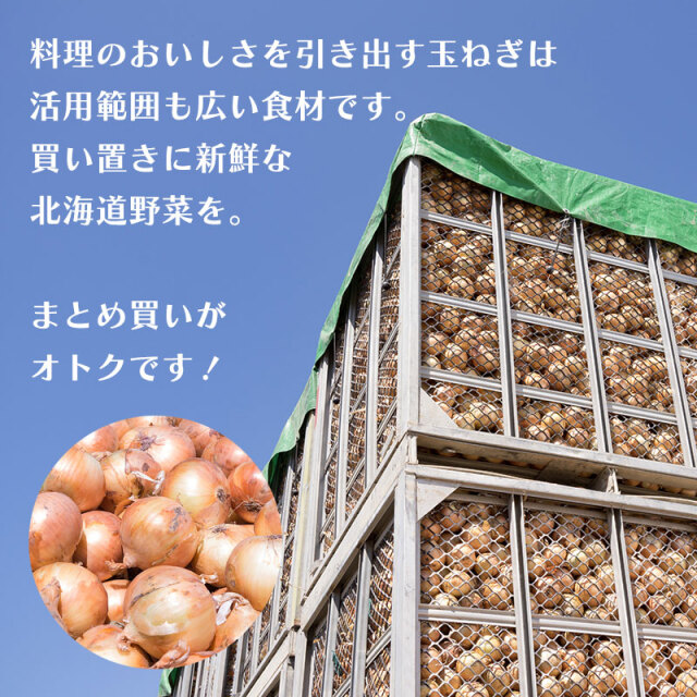 北海道 玉ねぎ 4kg 8kg L大〜2Lサイズ