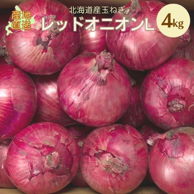 玉ねぎ
