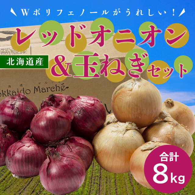 レッドオニオンセット
