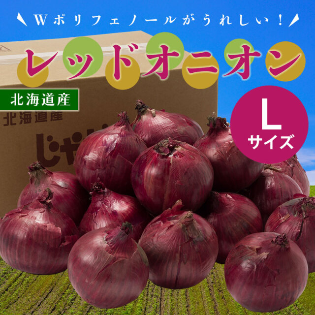 北海道産 レッドオニオン 4kg/8kg Lサイズ