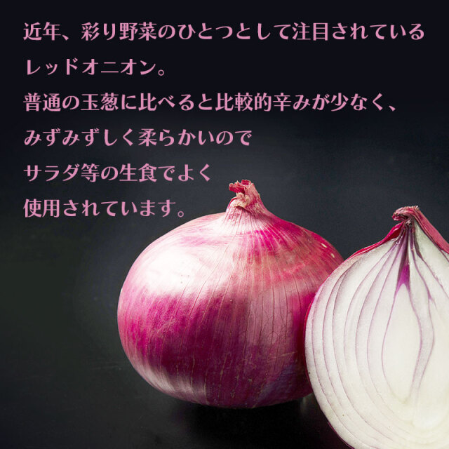 北海道産 レッドオニオン 4kg/8kg Lサイズ