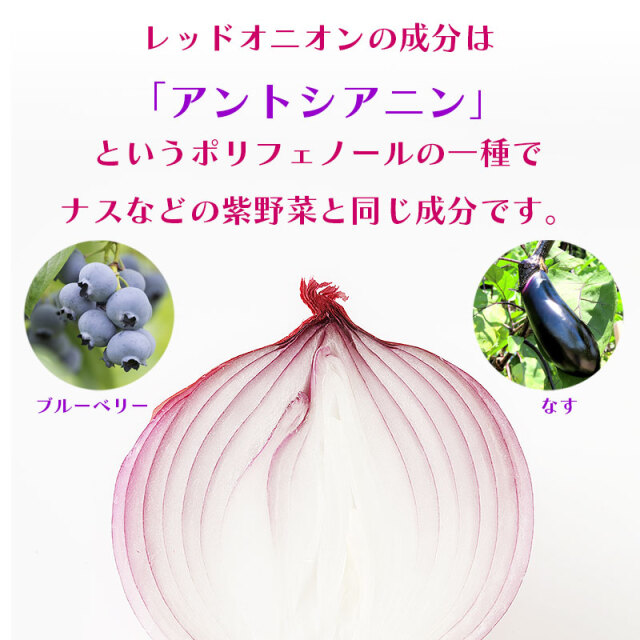 レッドオニオン