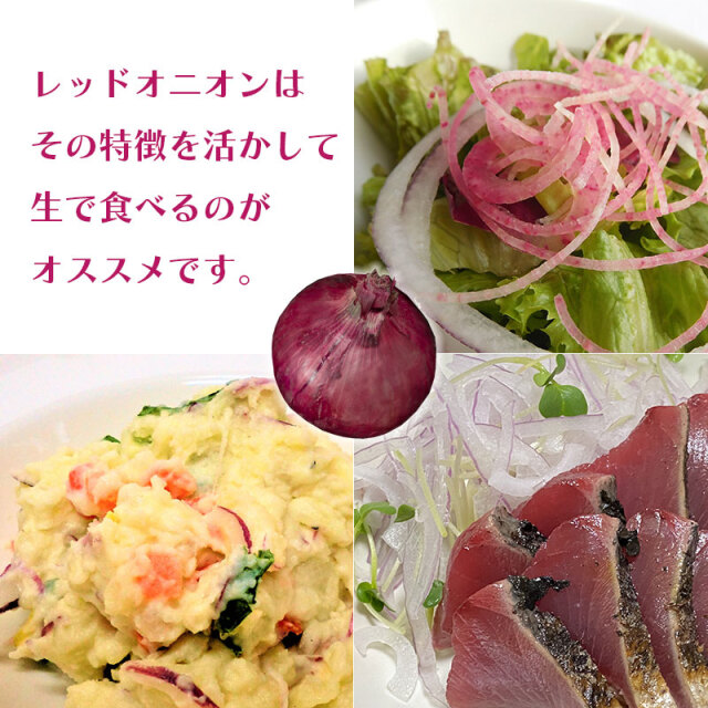レッドオニオン